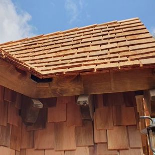 Shingles Close Up