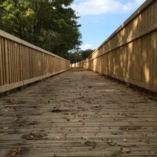 Ekki Boardwalk Ecochoice (1)