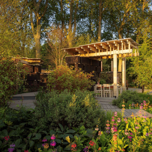 Accsys Autisitc Garden 1