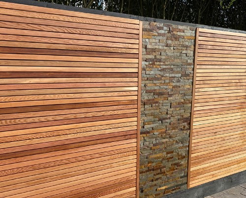 Timber Focus Screening