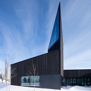 Accoya Charred Cladding Sml