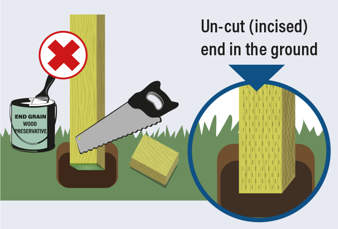 Cut End In Ground