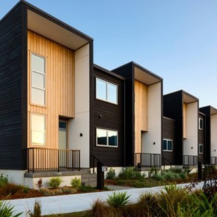 Ngarara Eco Development Vulcan Cladding Abodo Wood 1