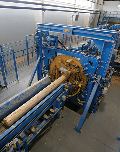 CSI Timber Gallery Cutting 2