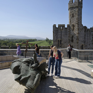 Caernarfon Accoya