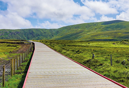 Deckwright Boardwalk