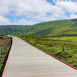 Deckwright Boardwalk