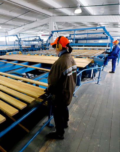 CSI Timber Machine 3