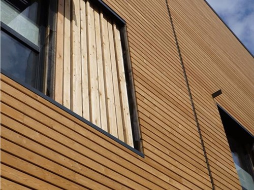 Siberian Larch Cladding