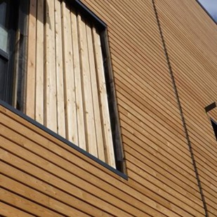 Siberian Larch Cladding